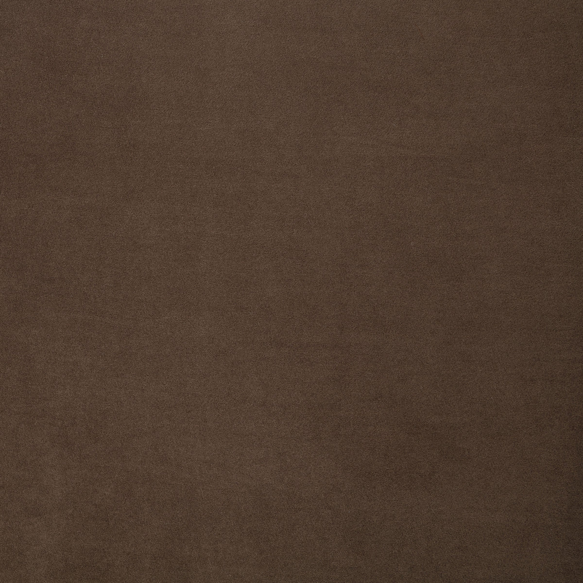 Everything Put Away Bed Roast velvet detail